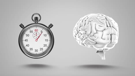 stopwatch and human brain