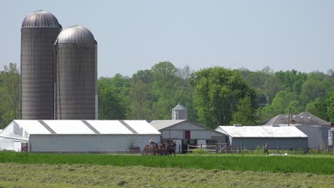 los agricultores amish usan métodos tradicionales de caballos para arar sus campos