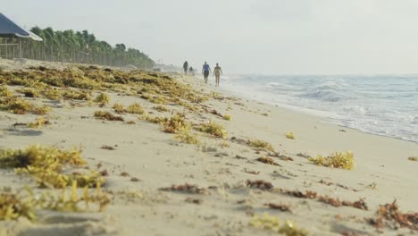 People-walking-on-Mexico-Beach-on-a-Windy-day