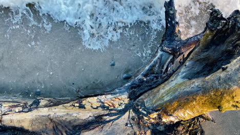 waves crashing over driftwood on the shore - high angle, close up