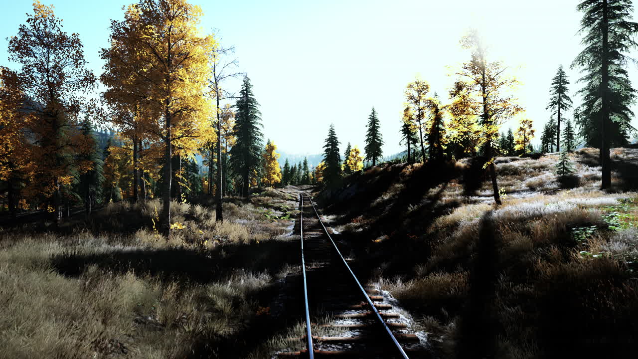 가을의 숲을 가로지르는 철도 트랙