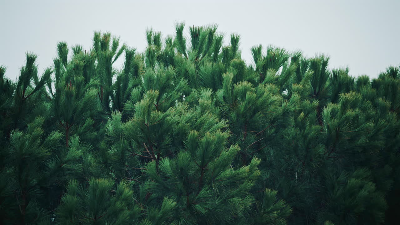 A glowing EV charging station captured at night, with neon blue and red lights illuminating the dark scene and a car plugged in behind it