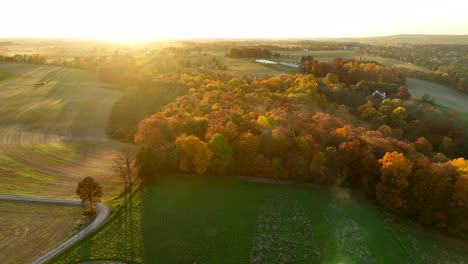 aerial of forest woodland and agriculture fields at golden hour light