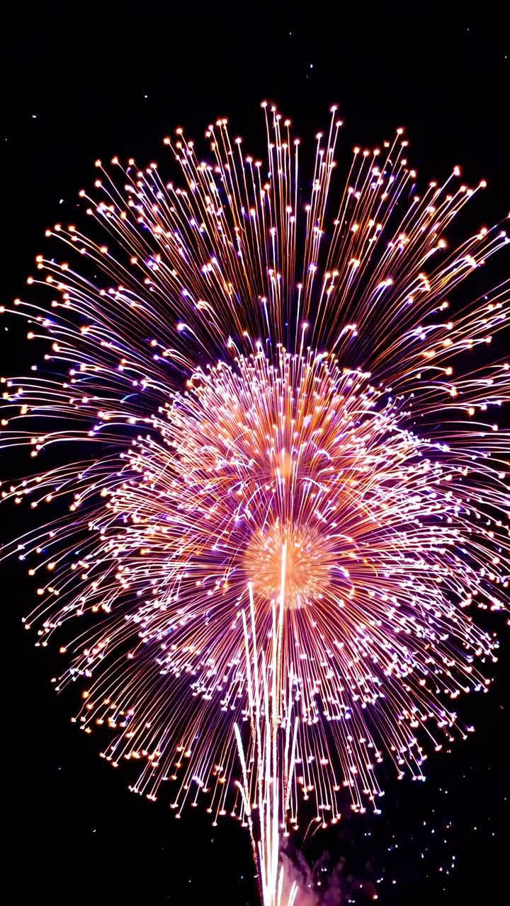 A vibrant display of fireworks captured from a low-angle, showcasing bursts of color against a dark