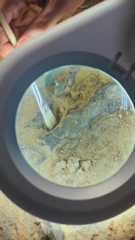 archaeological excavation - examining a fossil