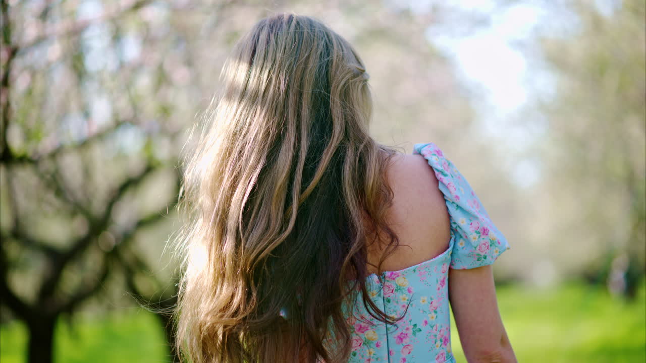 Brunette woman in a blue dress in a field of blooming almond trees