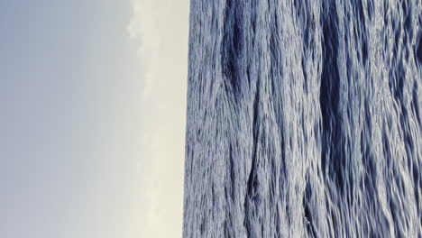 vertical-of-Wild-dolphins-swimming-in-Azores-island-blue-sea-ocean-water