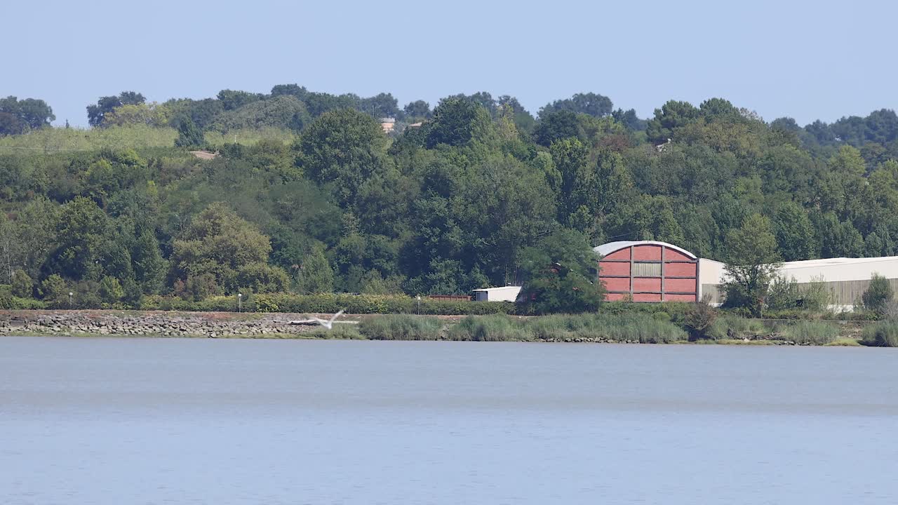 나무 와 건물 들 이 있는 조용 한 강변