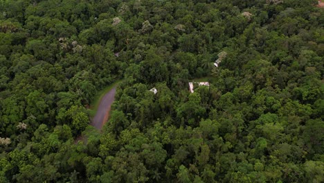 Vista-Aérea-De-La-Selva-Tropical-De-Daintree,-Australia