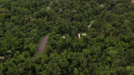 una vista aérea del bosque tropical de daintree, australia