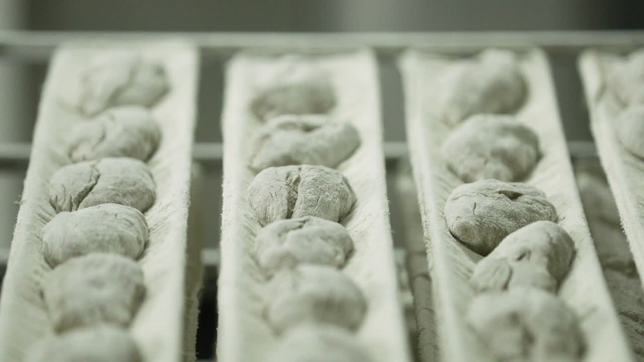 교정, 증명 - 베이커리의 베이킹 랙에 있는 쟁반에 있는 빵 반죽 - 패닝, 슬로우 모션