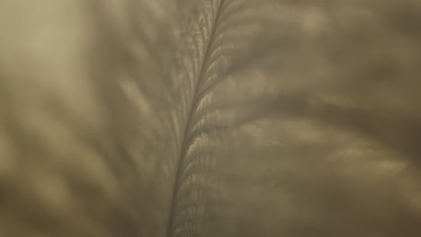 macro closeup of a abstract flower leaf, cinematic.