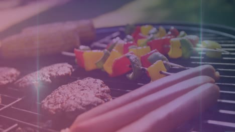 Animation-of-light-spots-over-meat-and-vegetables-on-barbecue