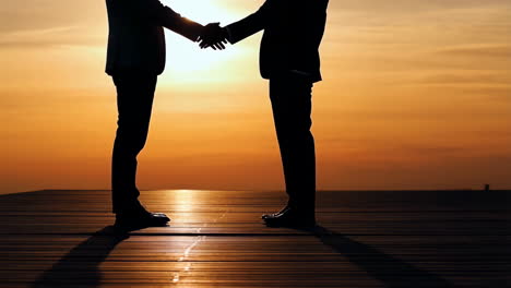 business handshake at sunset