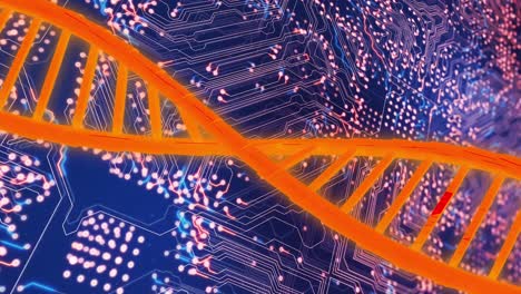 animación de una cadena de adn sobre una placa de circuito de computadora sobre un fondo negro