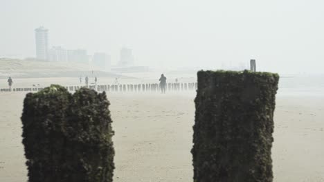 fisherman that is preparing to fish