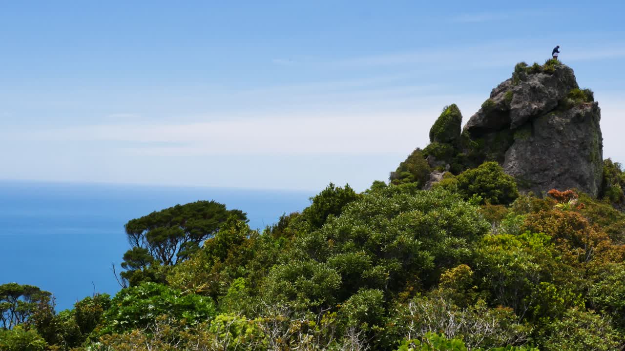 foto panorámica de plantas y árboles tropicales en la cima de la montaña con vistas exóticas al océano durante el día soleado - pista de te whara, nueva zelanda