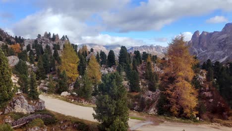 a mountain road winds through a rugged landscape in the dolomites, surrounded by autumn-colored trees and jagged rocks. pine and larch trees stand out against the rocky cliffs and cloudy sky.