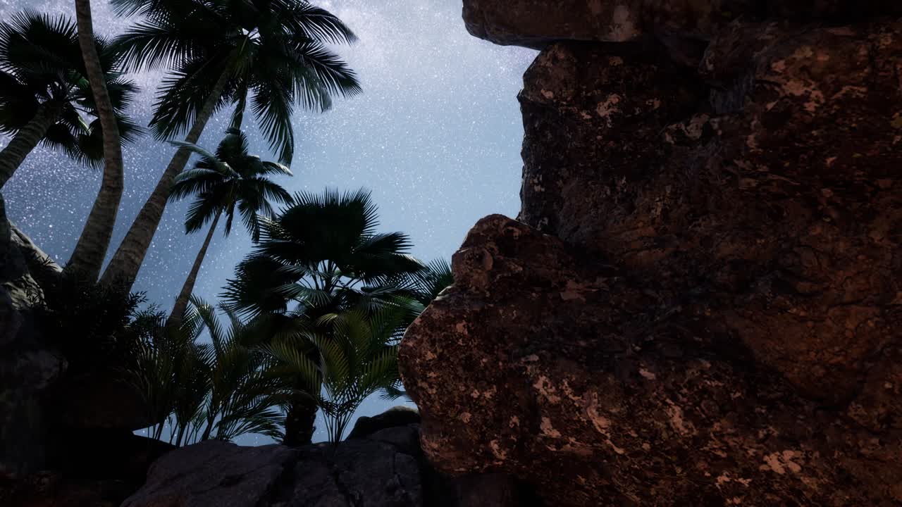 rutas estelares de hiperlapso de 4k sobre paredes y palmeras de cañones de piedra arenisca