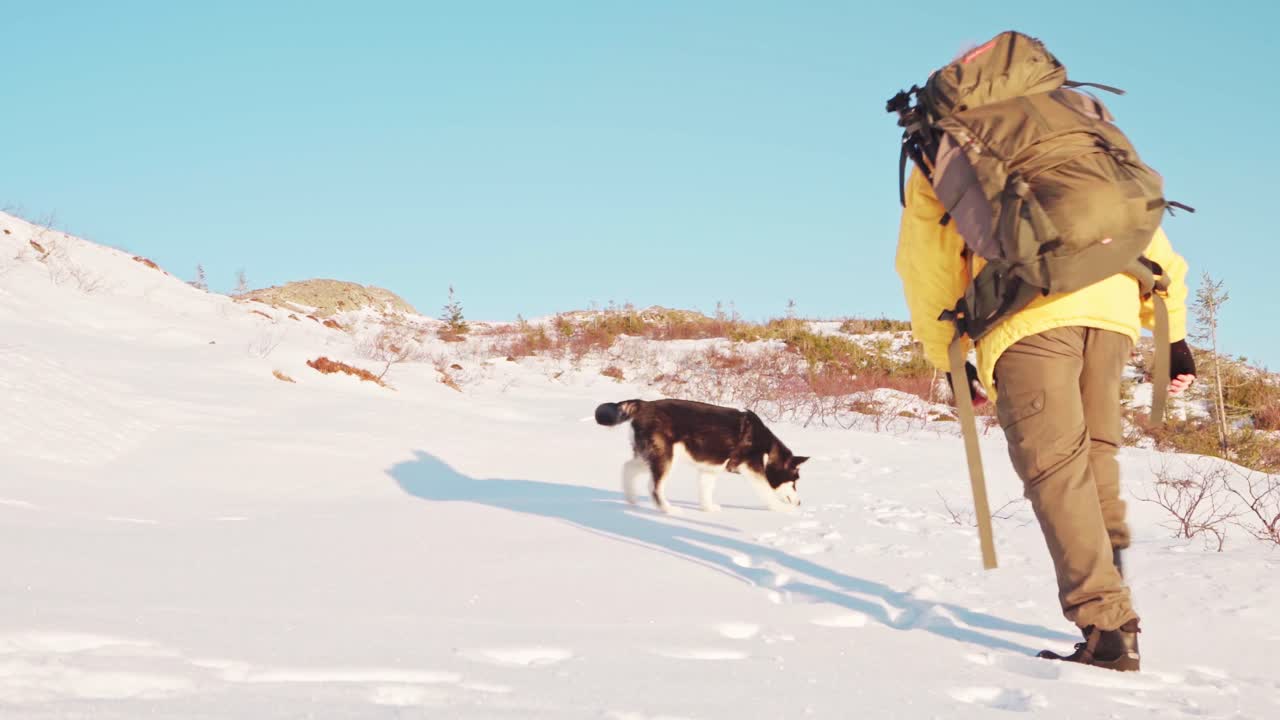 노르웨이의 맑은 겨울날 눈에 발자국을 남기고 오르막 길을 오르는 개를 가진 산악인