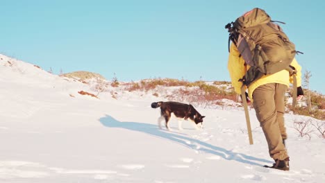 mountaineer with dog climbing on uphill trail leaving footprints on snow on a sunny winter day in norway