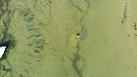 vista aérea de pájaro sobre yates de velero en la playa marítima del puerto de piedra con motivos poco profundos