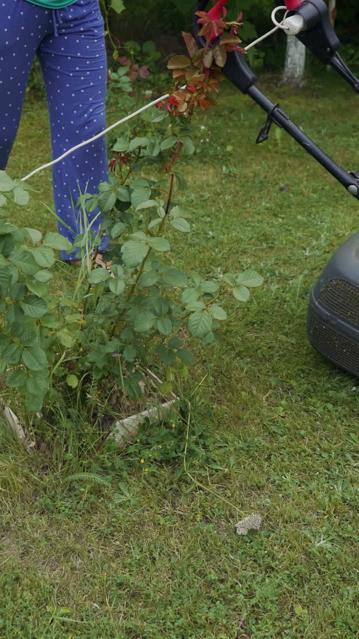 Mowing grass in the garden. Outdoor seasonal household works Vertical video