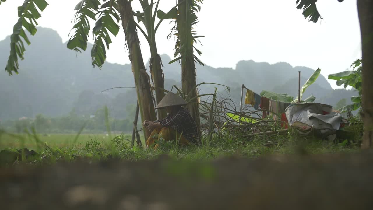 Traditionally Dressed Vietnamese Lady Sat under Banana Tree
