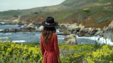 spring time in garrapata state park in california near big sur