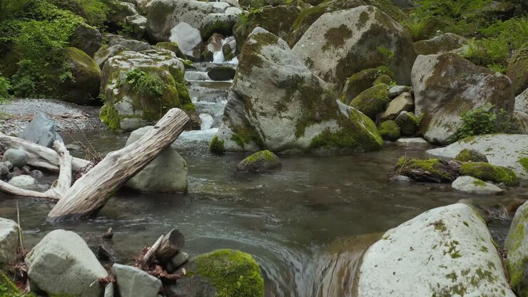 Mossy Rocks and River Flowing Through Mountains of Tottori, Mt Daisen
