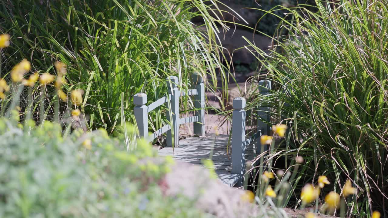 Wide angle to the Pathway to a cozy garden during spring