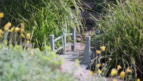 Wide angle to the Pathway to a cozy garden during spring