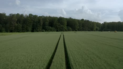 drone shot of tracks on a field