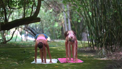 Two women doing yoga in a bamboo forest