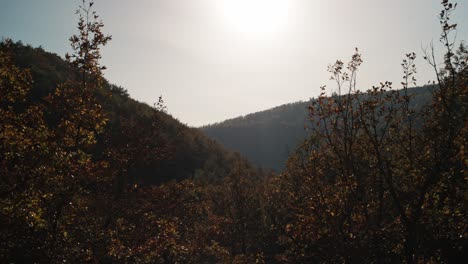 Blick-über-Die-Baumwipfel-In-Das-Herbstliche-Waldtal