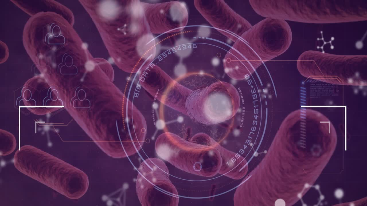 Animazione di molecole ed elaborazione dati su cellule virali