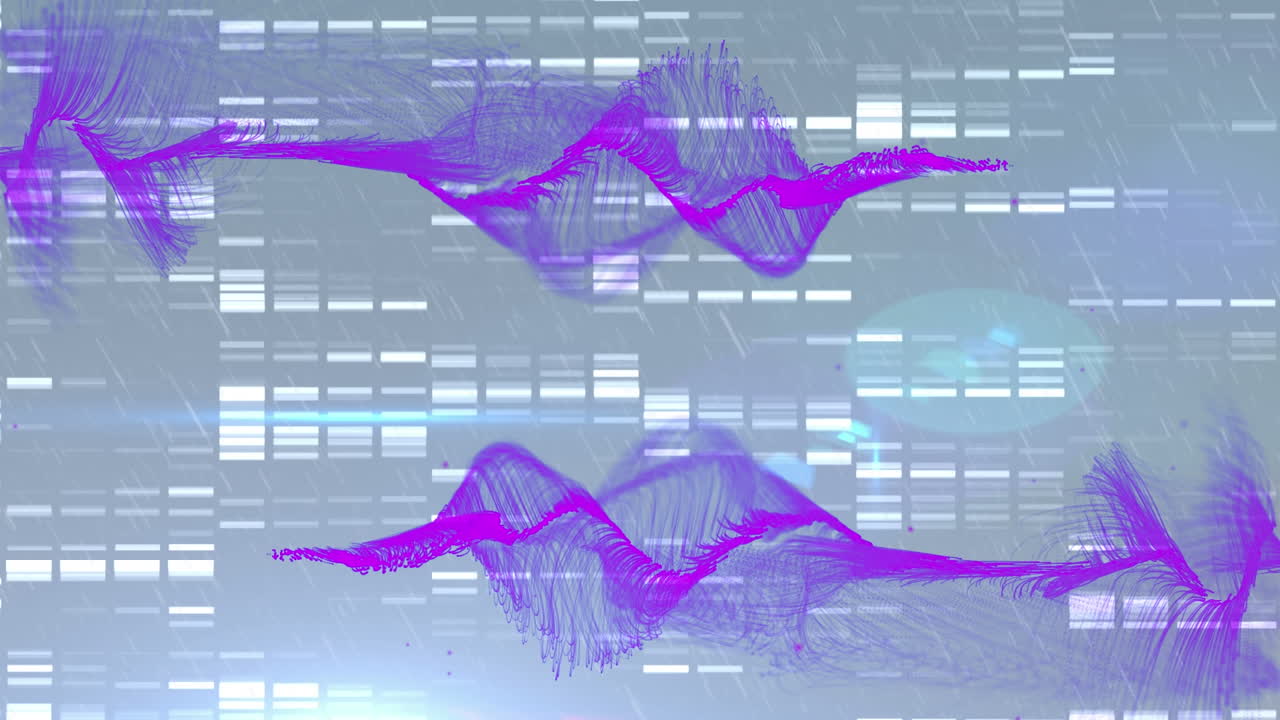 animación de ondas púrpuras sobre un fondo gris con luces