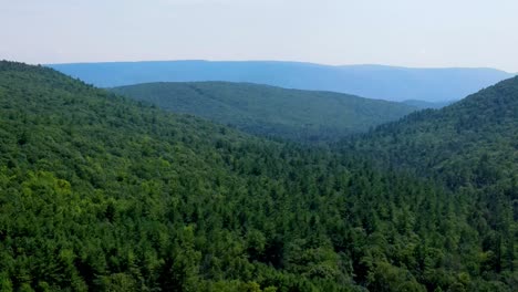 Aerial-view-of-forest-in-the-Catskill-Mountains,-Hudson-Valley,-in-Appalachian-Mountains-during-summer