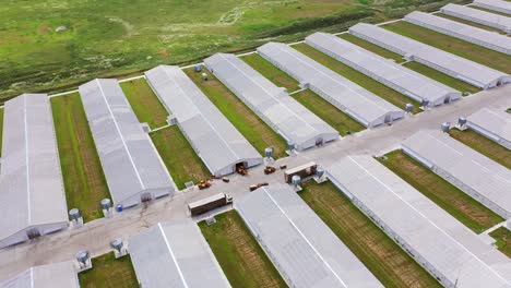 aerial view on contemporary farm complex. flight over agricultural territory with modern structure for livestock. slow motion.
