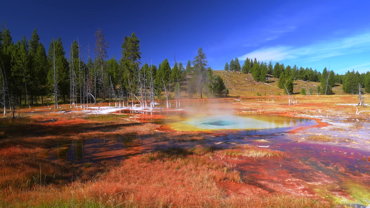 Abyss Pool ved West Thumb Geyser Basin, ved bredden av Yellowstone Lake. Geotermisk funksjon med varme kilder i Yellowstone nasjonalpark, Wyoming, USA. Solrik morgen med blå himmel, fjernt og vidstrakt landskap, panorering mot høyre.