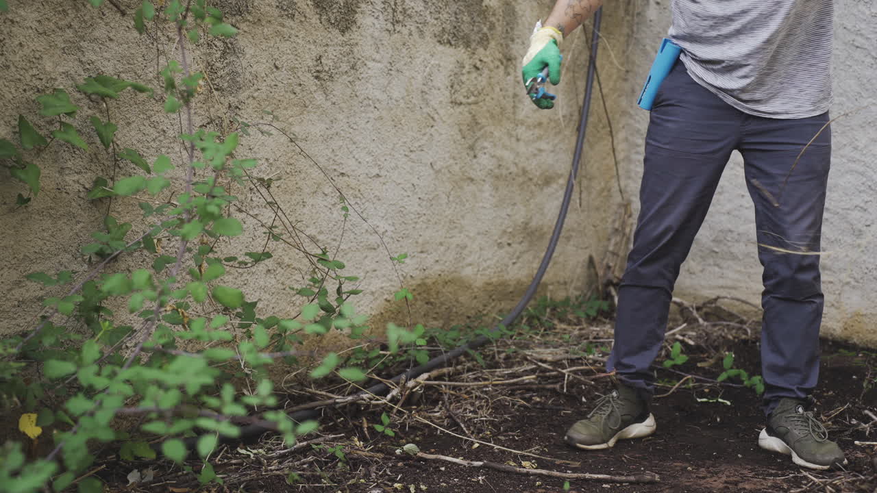 joven macho caucásico cuidando de las plantas en su jardín