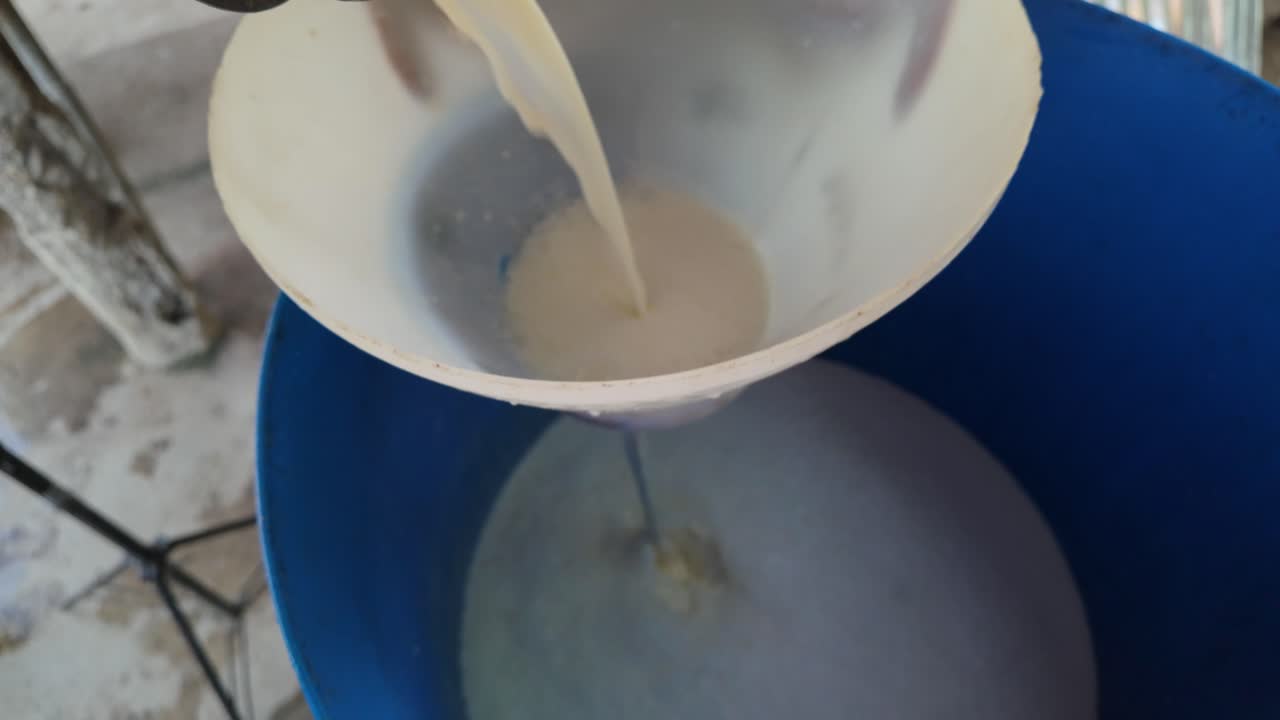 Pouring fresh milk through a funnel into a blue container, showcasing the milking process