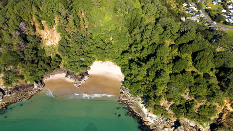 Üppiges-Grünes-Laub-An-Der-Küste-Des-Hafens-Von-Whangapoua-In-Der-Coromandel-Region-Von-Neuseeland