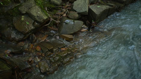 Cerca-De-Un-Arroyo-En-Movimiento-Rápido-Que-Fluye-A-Lo-Largo-De-Un-Banco-De-Rocas-En-El-Bosque