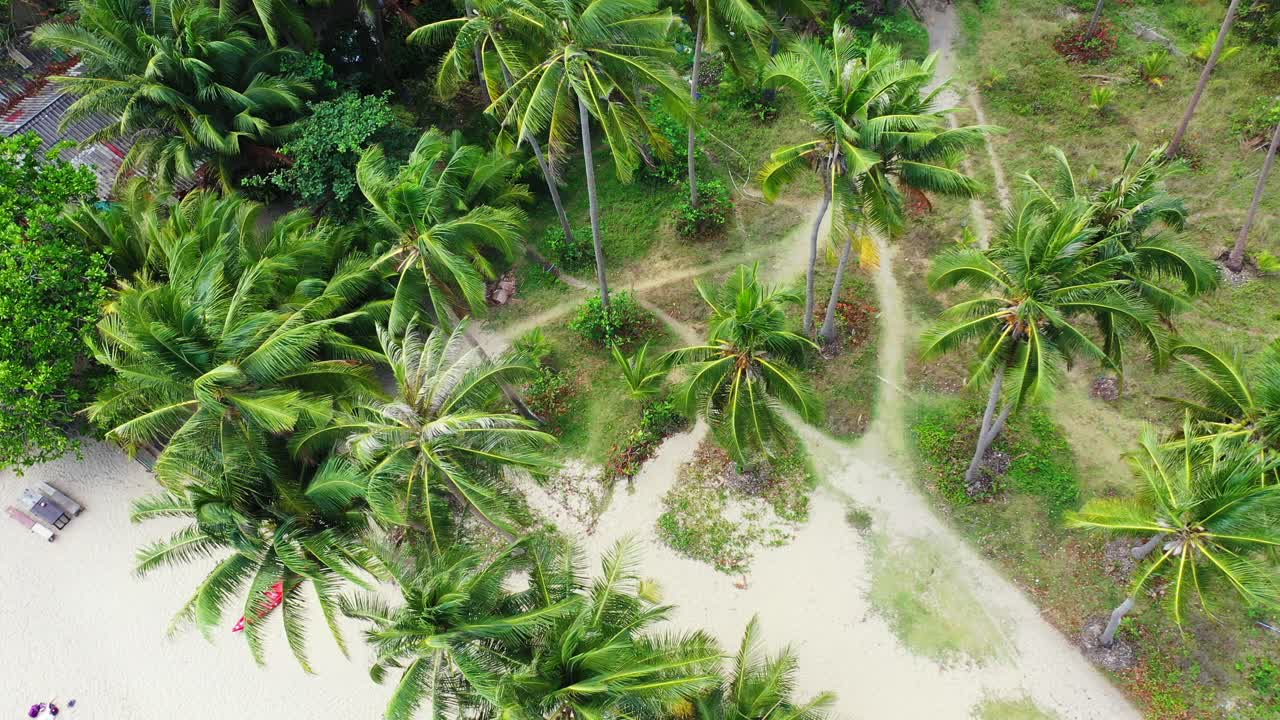 Aerial panorama, tops of the palms and white sandy beach. Thailand