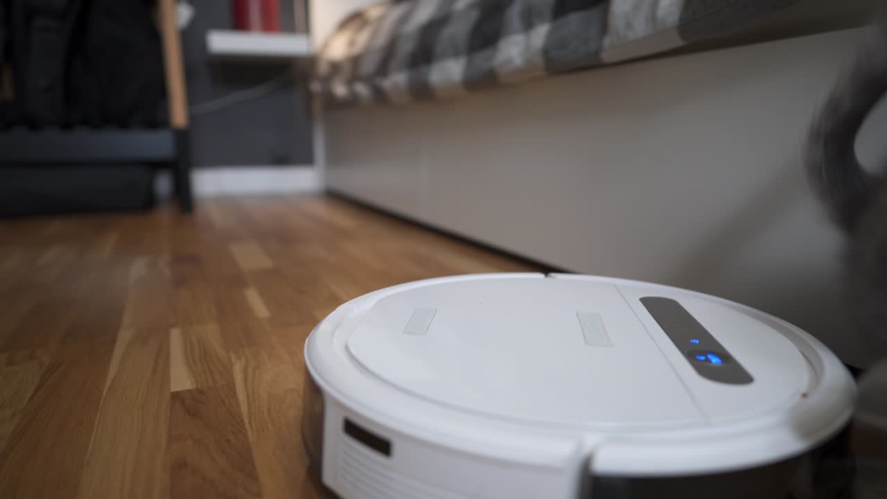 equipo automático que ayuda en el hogar. gatito gracioso de raza escocesa recta de color gris con rayas juega en casa mientras un robot aspirador automático limpia la habitación. electrodomésticos inteligentes