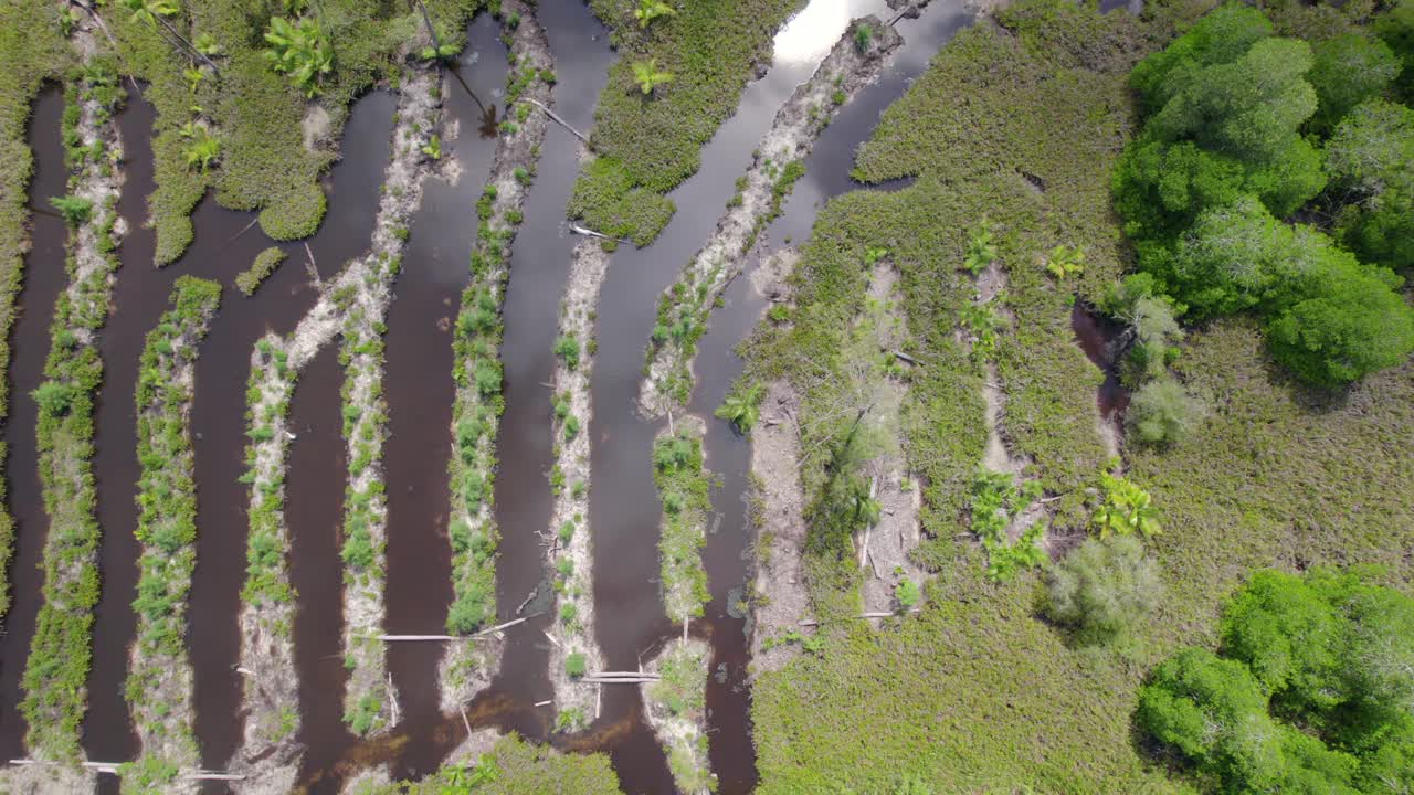 Side way drone footage of cap ternay mangrove, Mahe Seychelles 30fps 2