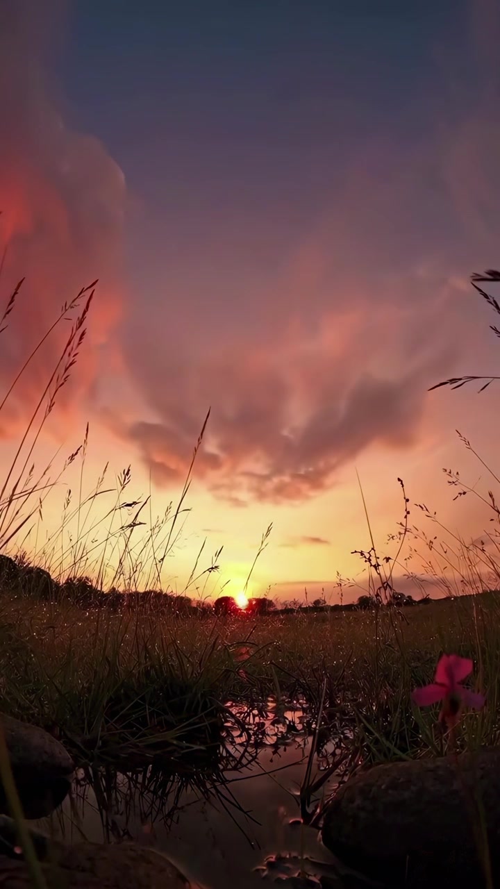 Time Lapse of Vibrant Sunset Over a Grassy Meadow