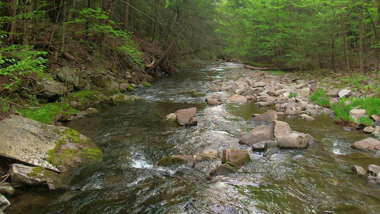 Smooth low slow-motion drone footage of a beautiful stream in a lush, green, magical forest