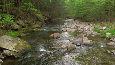 smooth low slow-motion drone footage of a beautiful stream in a lush, green, magical forest